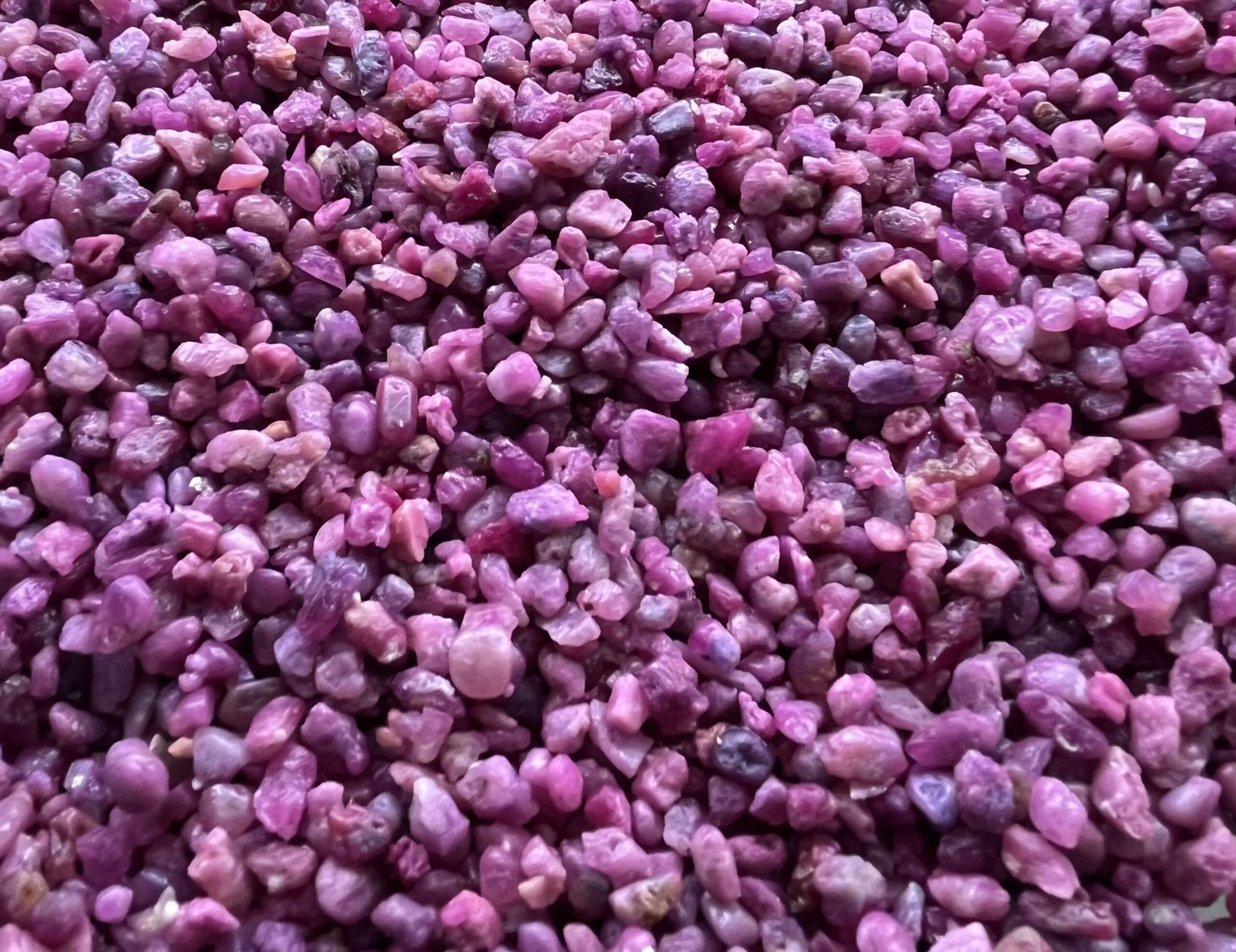 gcp_photo_thailande-3